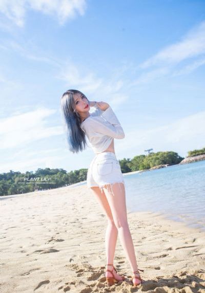 ova拯救精灵森林_蓝光BD在线观看