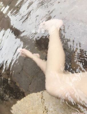 美味的姨母_DVD高清完整版